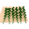 5 Heads Eucalyptus 3 Forks 5 Forks Money Leaf Simulation Artificial Flowers Nordic Wedding Home Decoration Artificial Plants