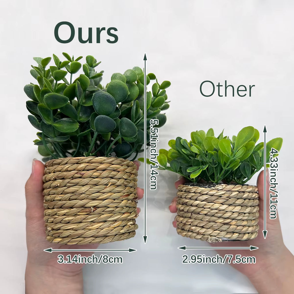 Green Artificial Plants Eucalyptus Flowers Woven Small Potted Plants Fern Grass Tuft 17Cm PE Material Home Decor