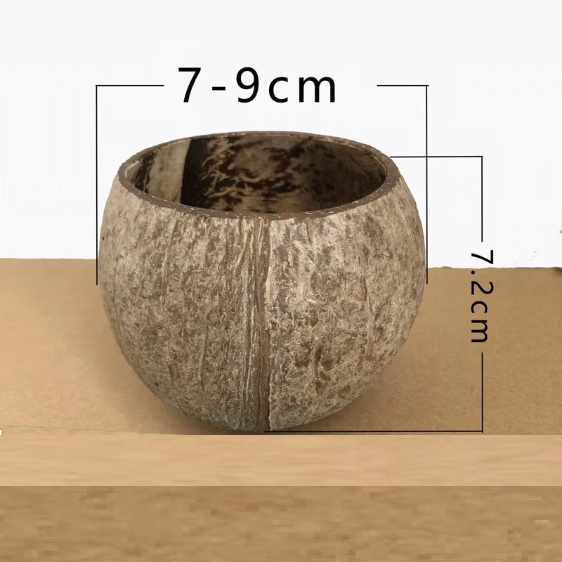 Creative Rough Coconut Shell Candle Holder (No Candle) Coconut Candlestick Romantic Decor Household Ornaments