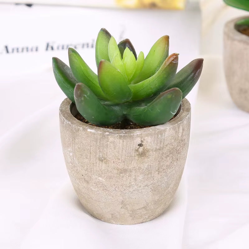 Plastic Mini Artificial Bonsai Fake Decorative Ball Plants Simulation Mini Plants Artificial Succulent Plants for Home Decor