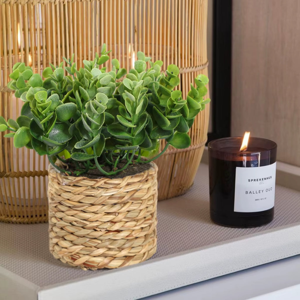 Green Artificial Plants Eucalyptus Flowers Woven Small Potted Plants Fern Grass Tuft 17Cm PE Material Home Decor