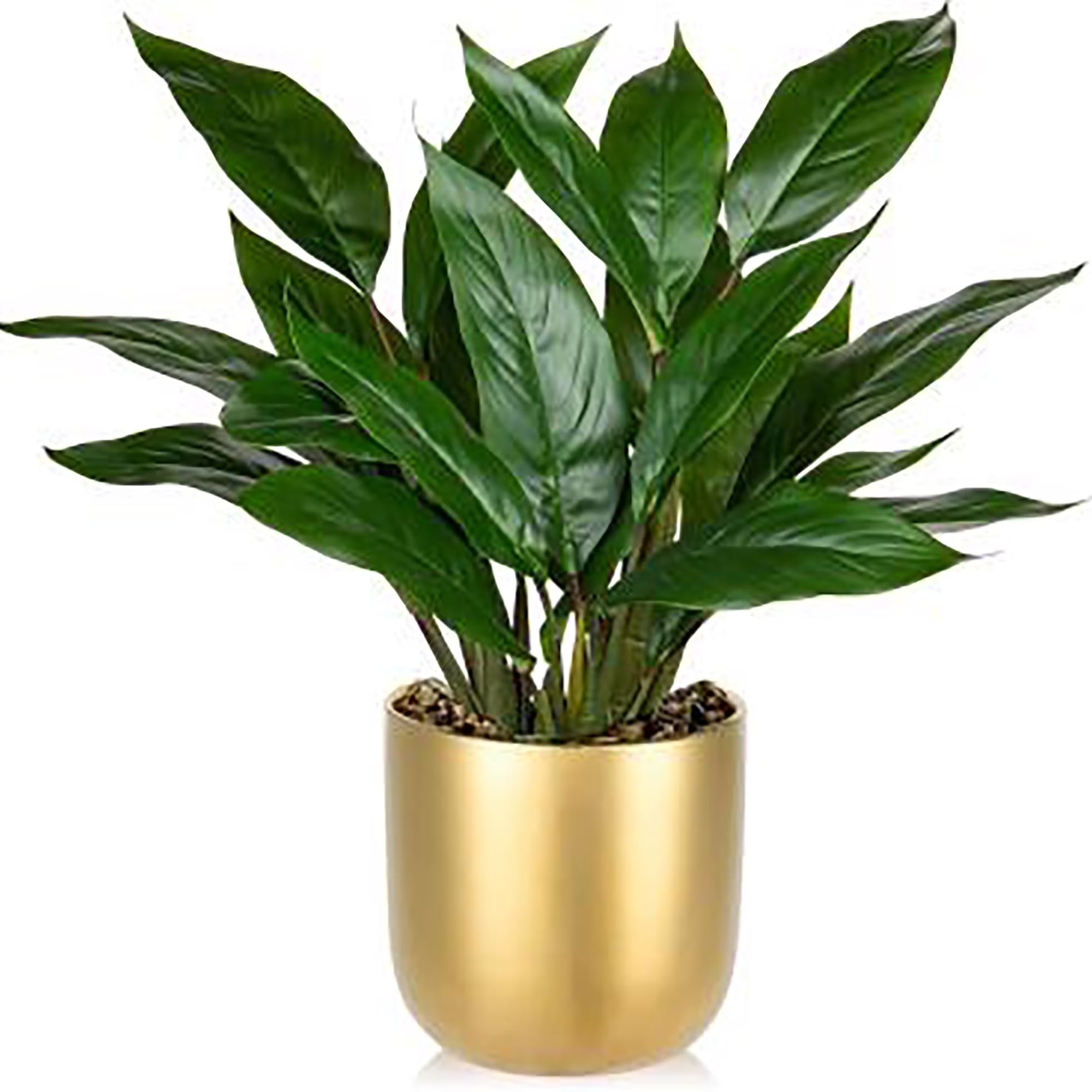 17'' Artificial Potted Plants Fake Greenery Cast Iron Plant Indoor Realistic Faux Plants with Gold Pot Desk Home Decor