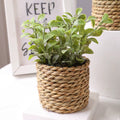 Green Artificial Plants Eucalyptus Flowers Woven Small Potted Plants Fern Grass Tuft 17Cm PE Material Home Decor