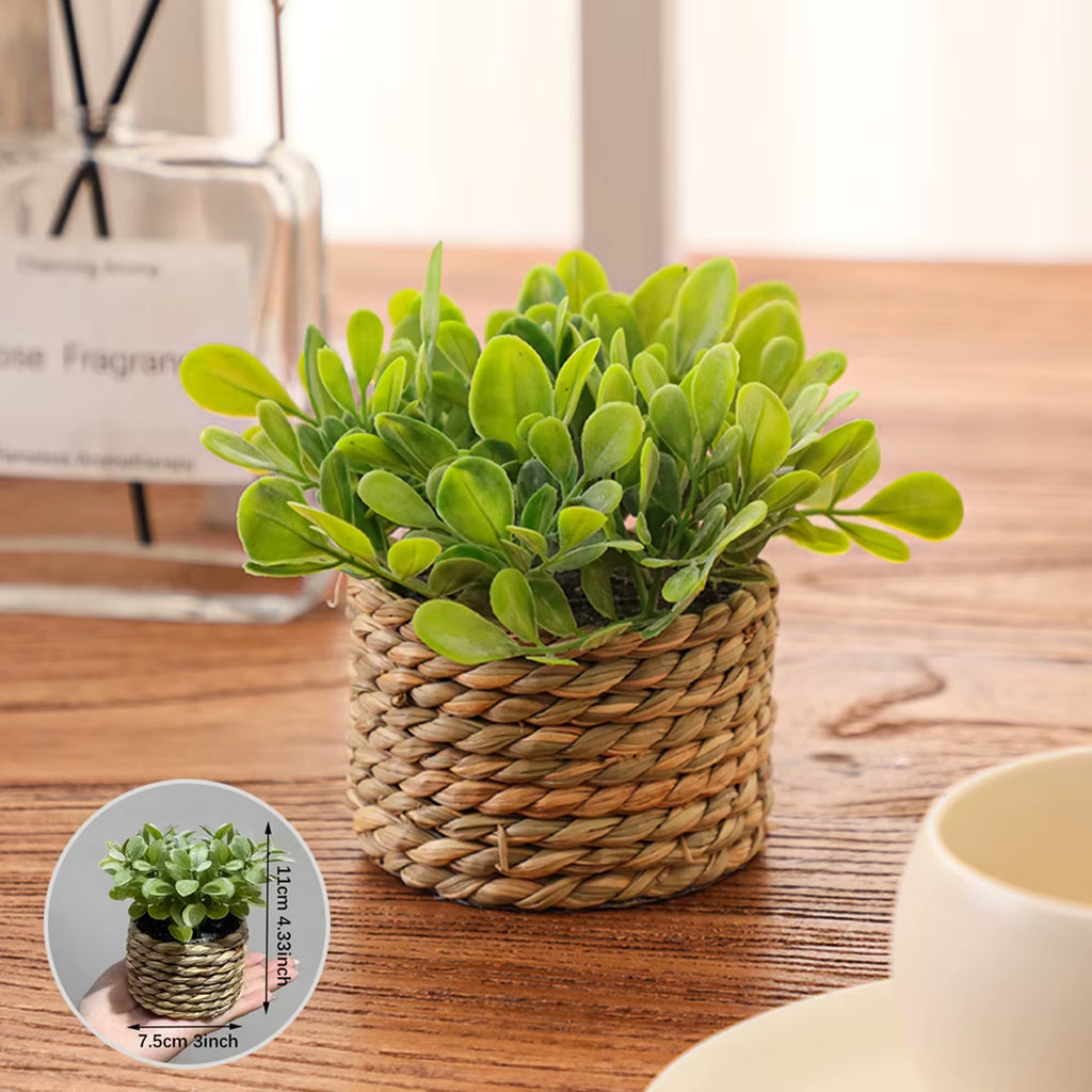 Green Artificial Plants Eucalyptus Grass Woven Small Potted Plants Grass Mound 11Cm PE Material Home Decoration